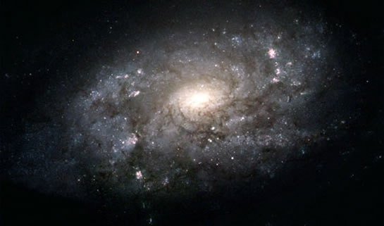 La galaxie d'Andromède (M31)
