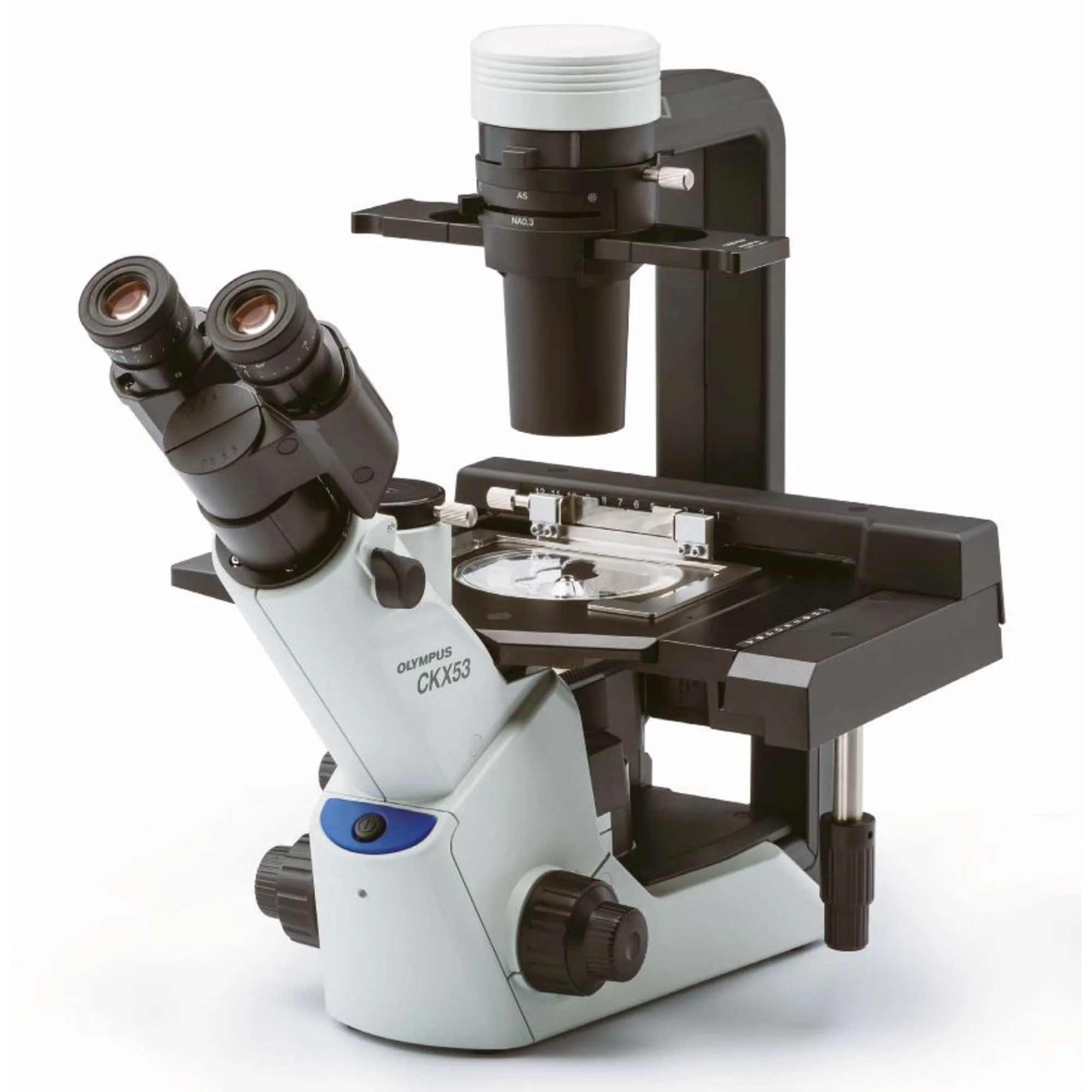Microscope inversé  CKX53, trino, 100x, 200x, 400x, IPC/IVC x/y-stage