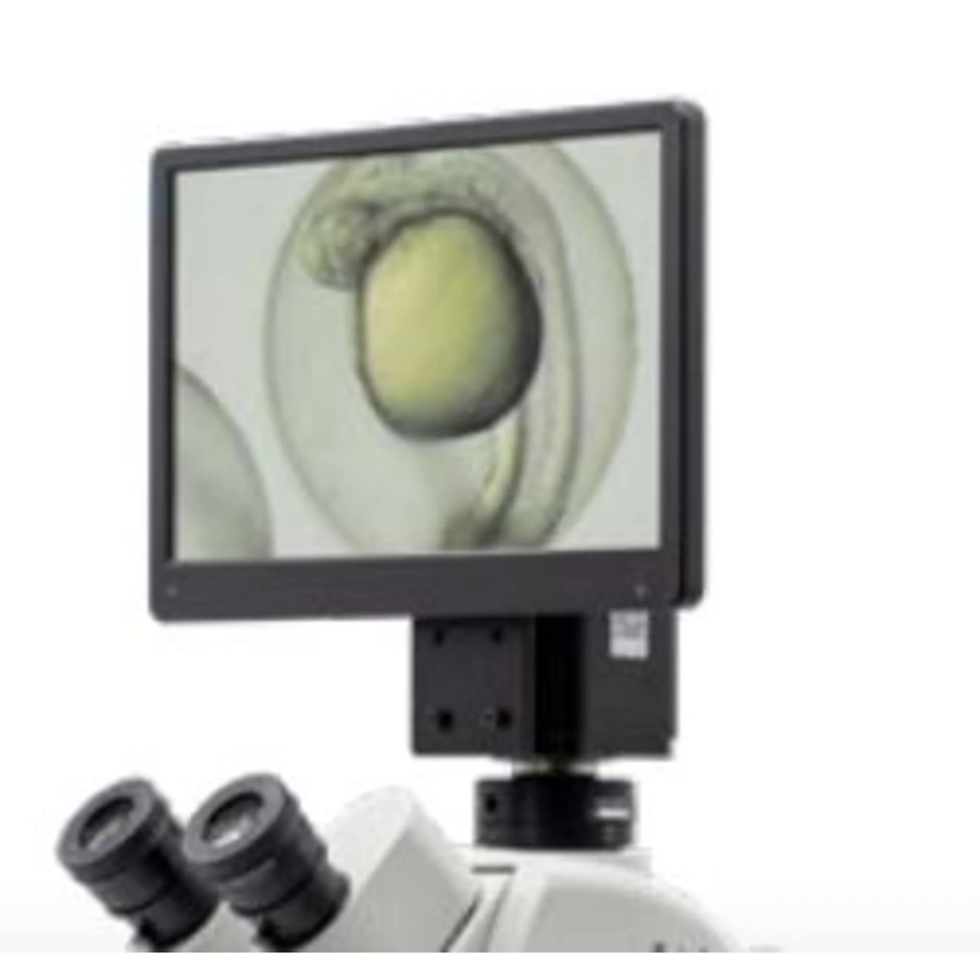 EP50-HDMI-MS Kit moniteur