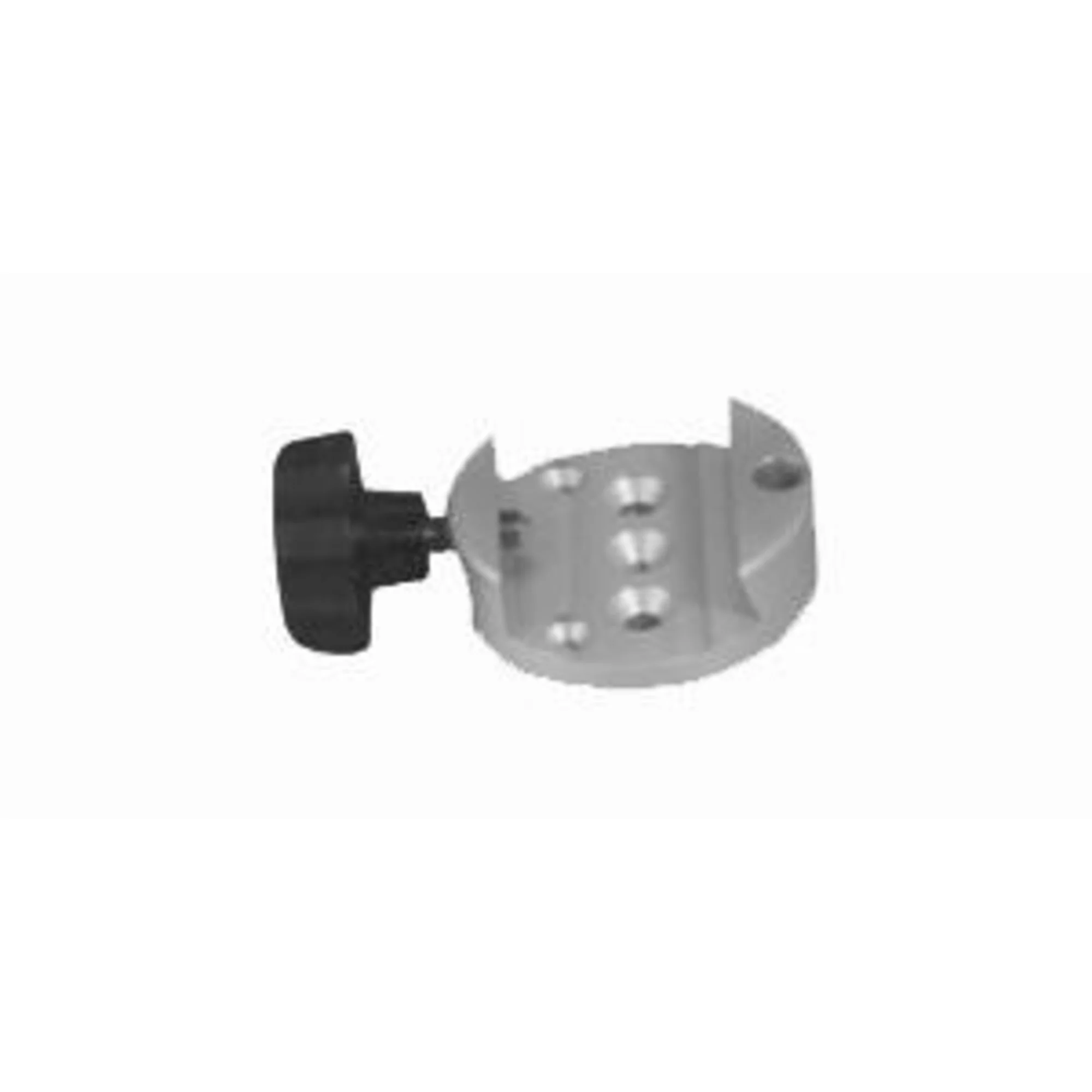 Queue d'aronde femelle