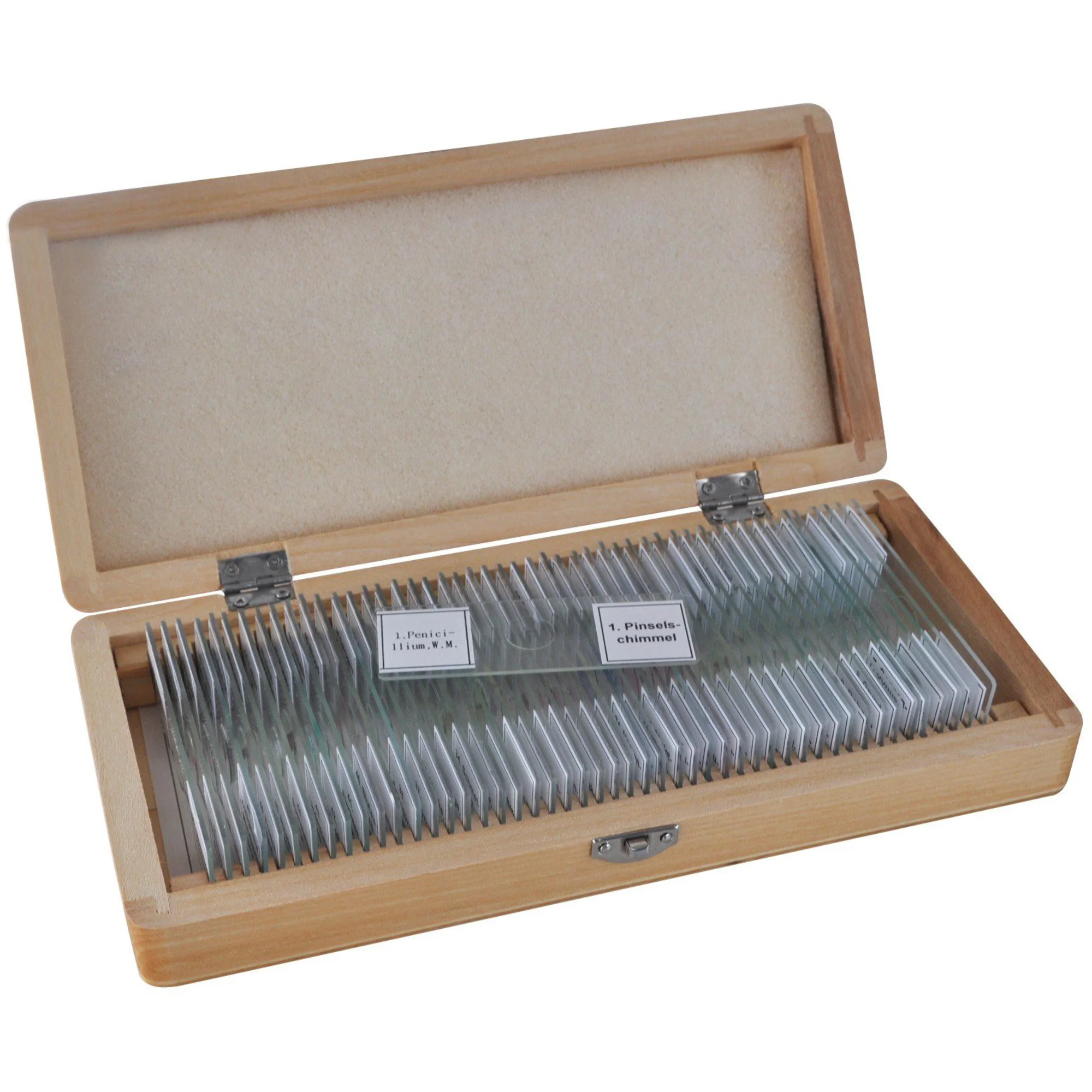 Lames préparées en boite de 50 pcs