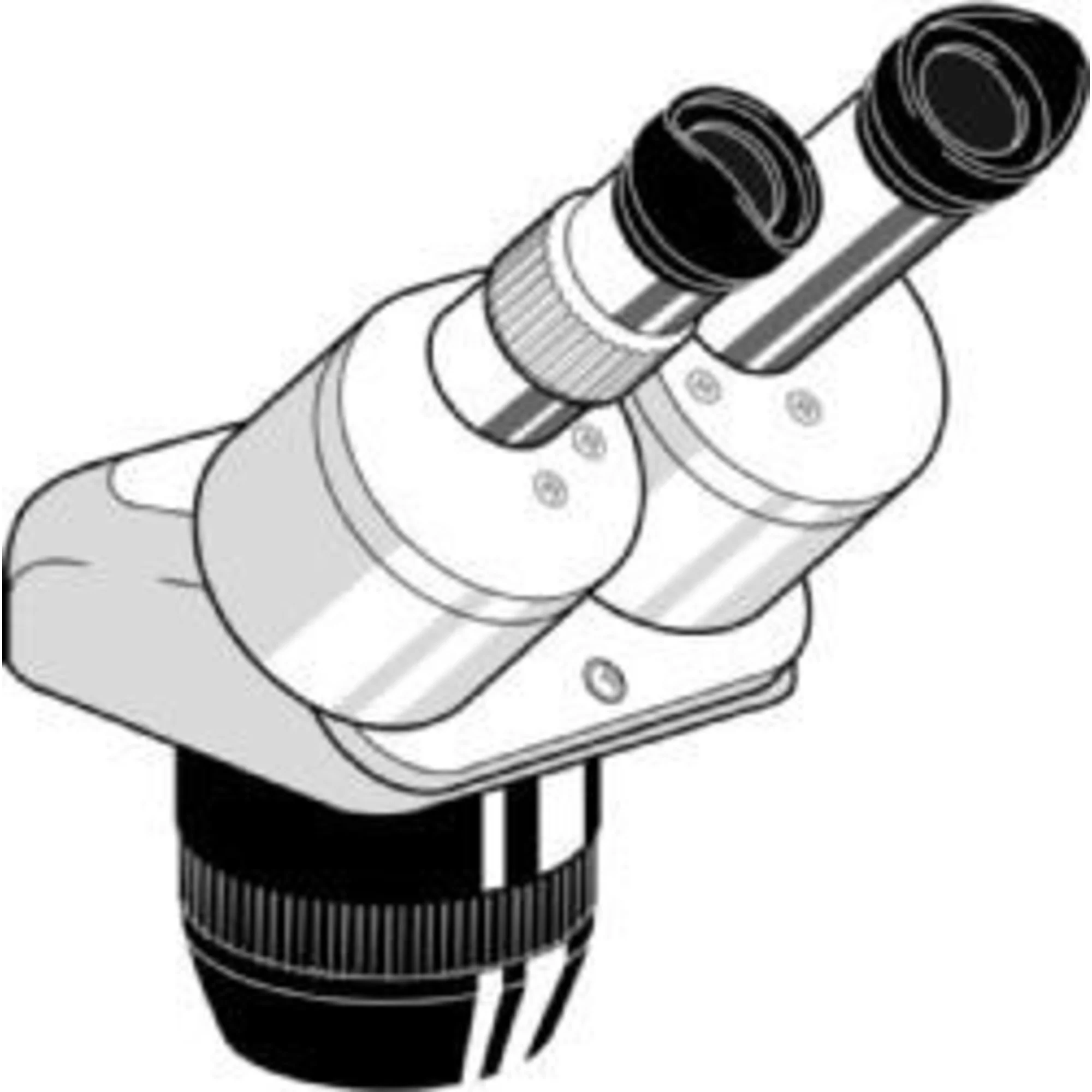 Microscope stéréo zoom  Tête stéreo EE.1523, binoculaire