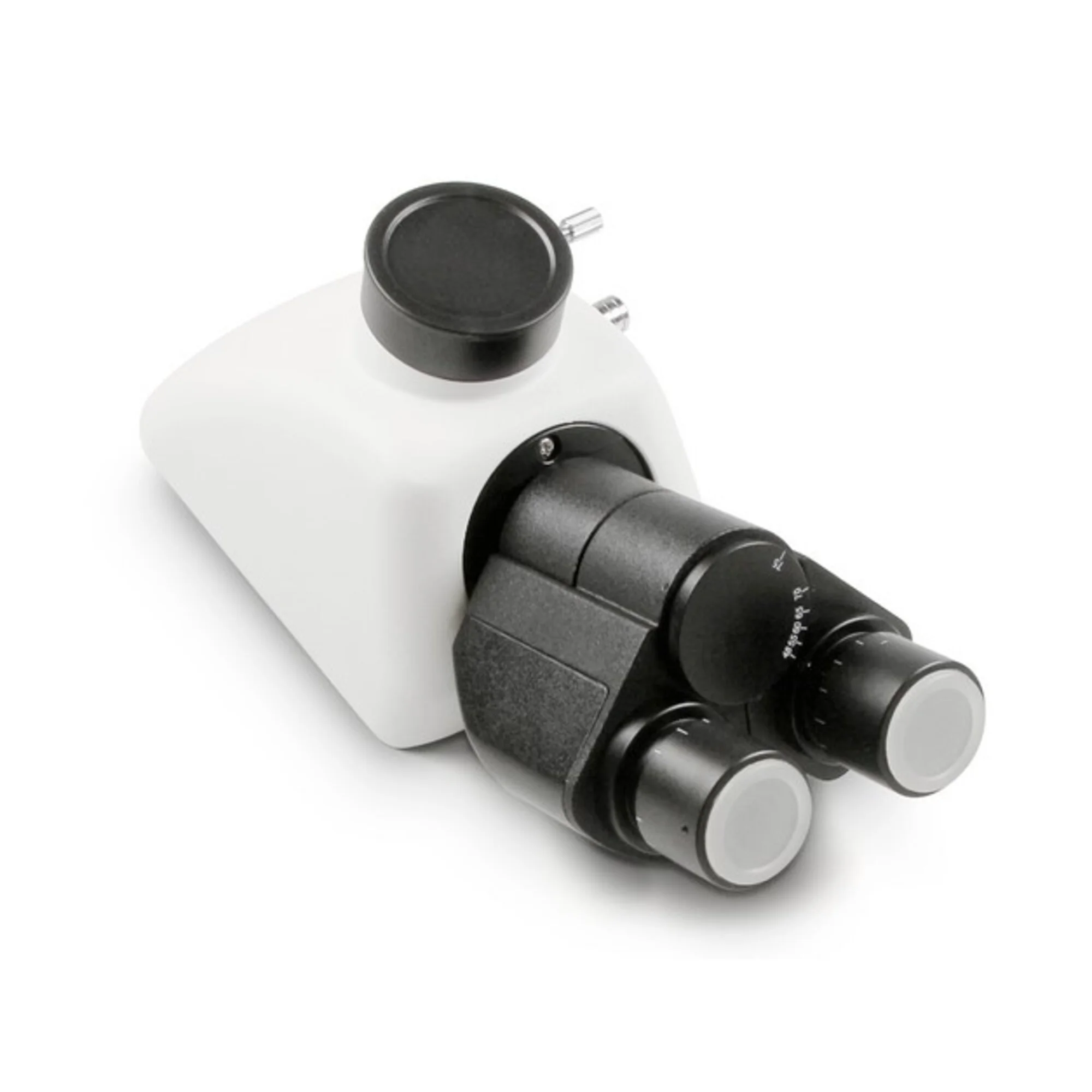 Tête de microscope, OBB-A1344, trino