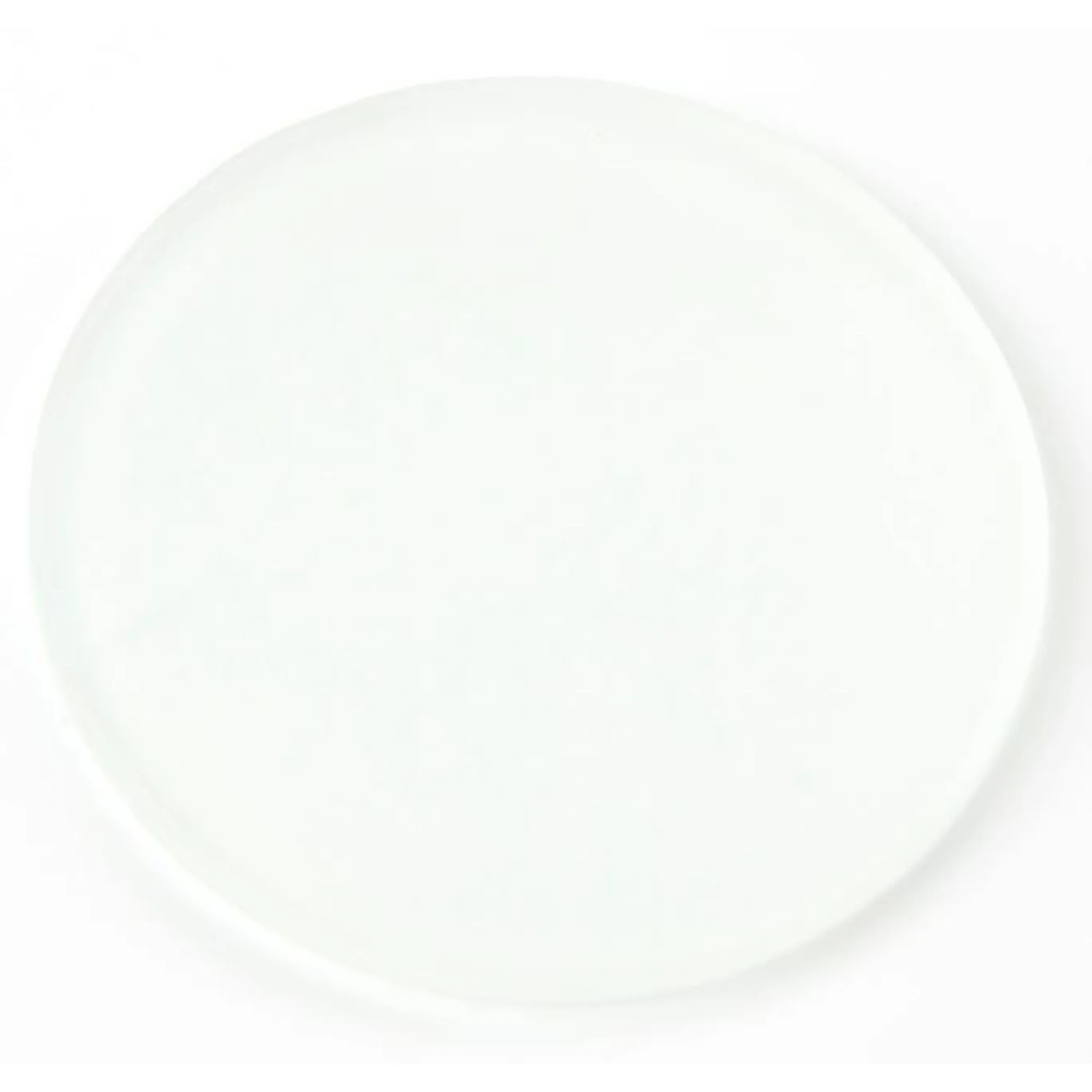 Filtre en verre dépoli Ø32 mm, EC.9710 (EcoBlue)