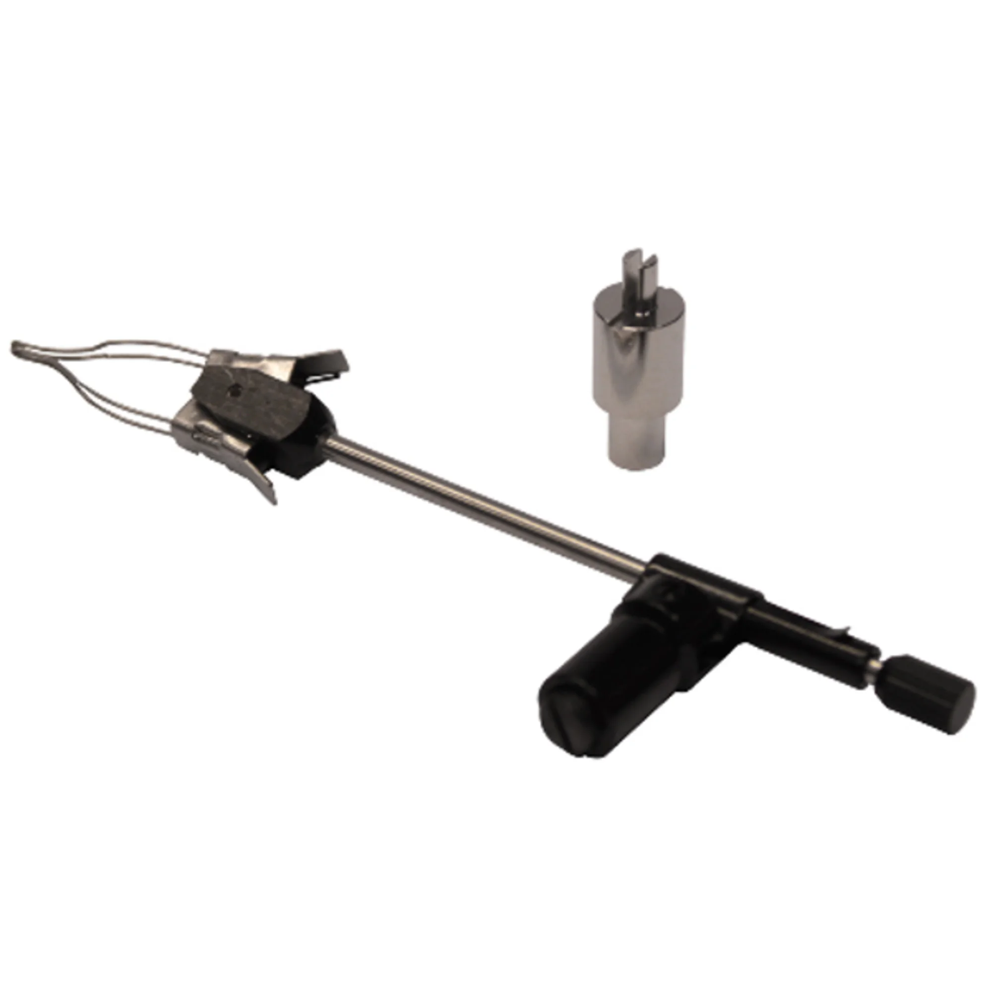 Queue d'aronde ST-041