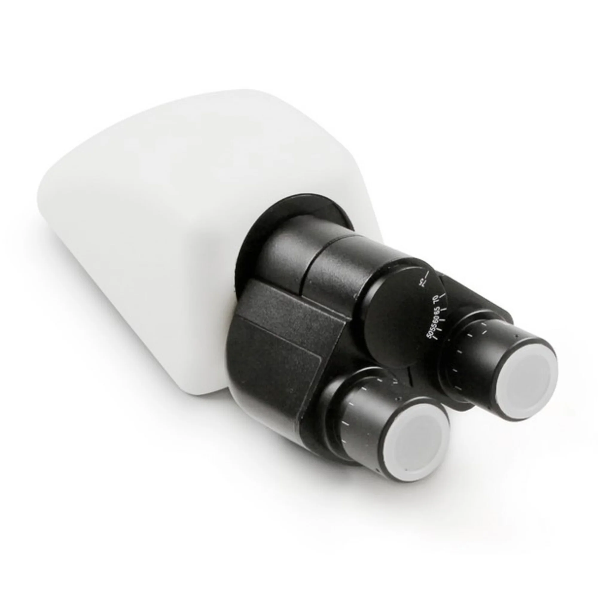 Tête de microscope, OBB-A1125, bino
