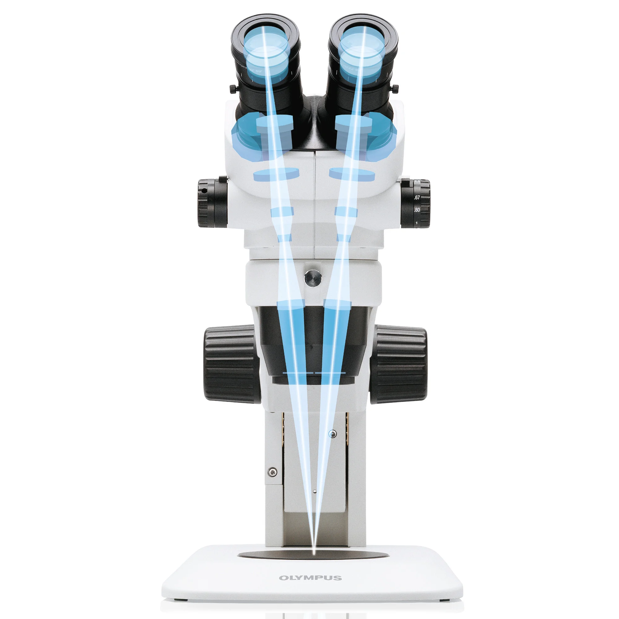 Microscope stéréo zoom  SZ51,  bino à lumière transmise