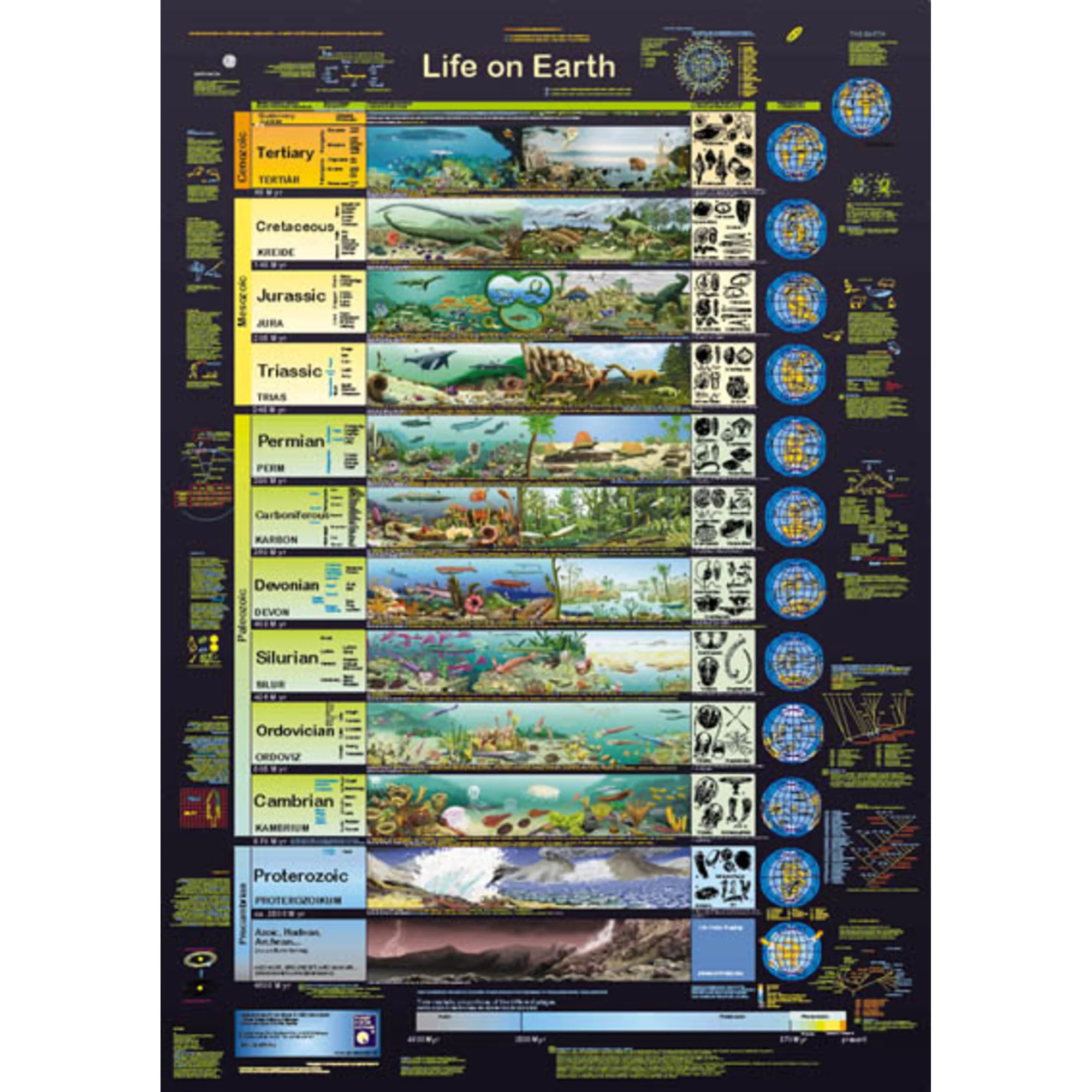 Affiche  Life on Earth