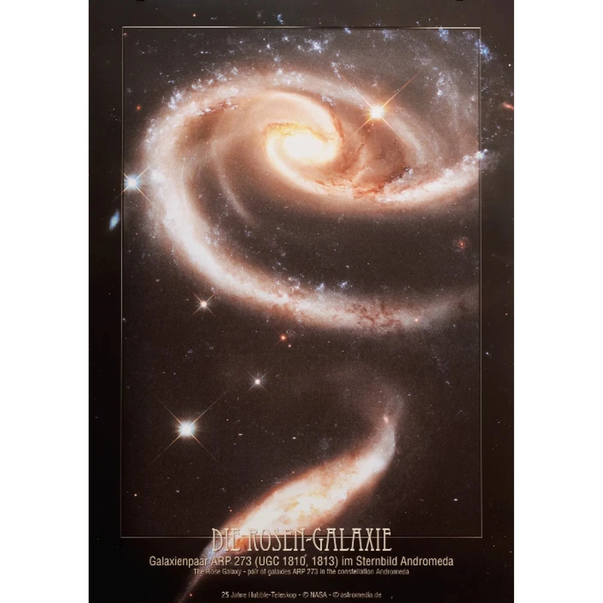 Affiche  Galaxie des Roses Arp 273