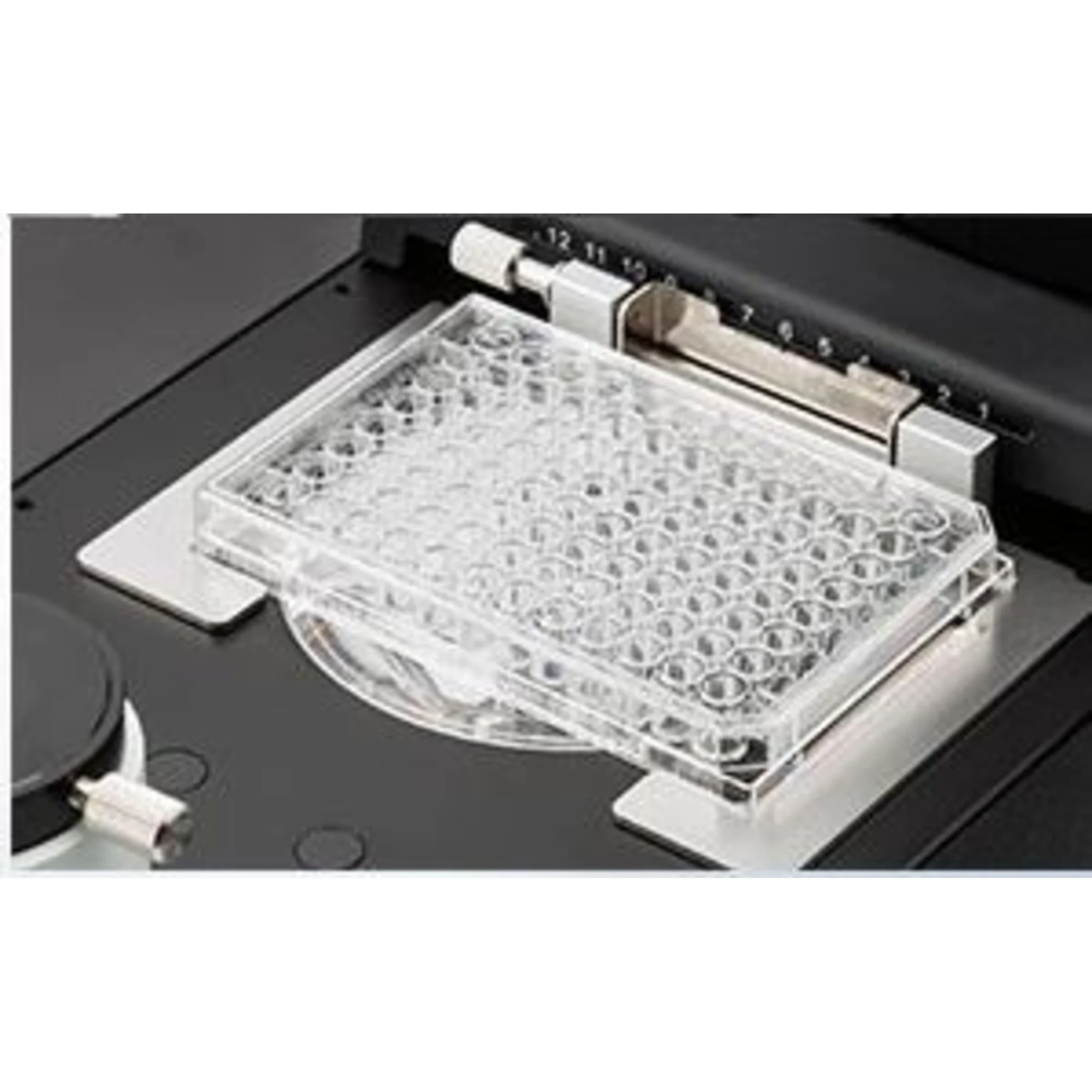 Positionneur x/y manuel CKX3-MVR pour statifs CKX53