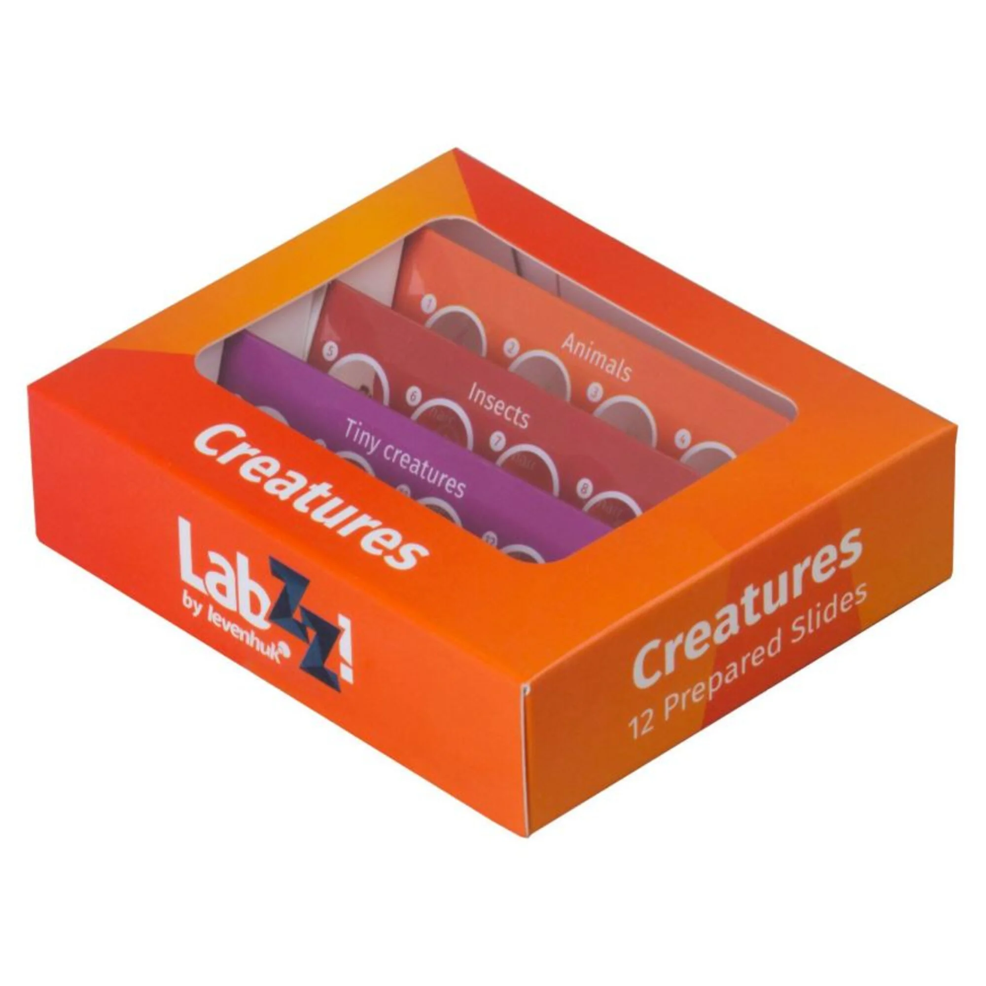 Kit de préparations permanentes C12