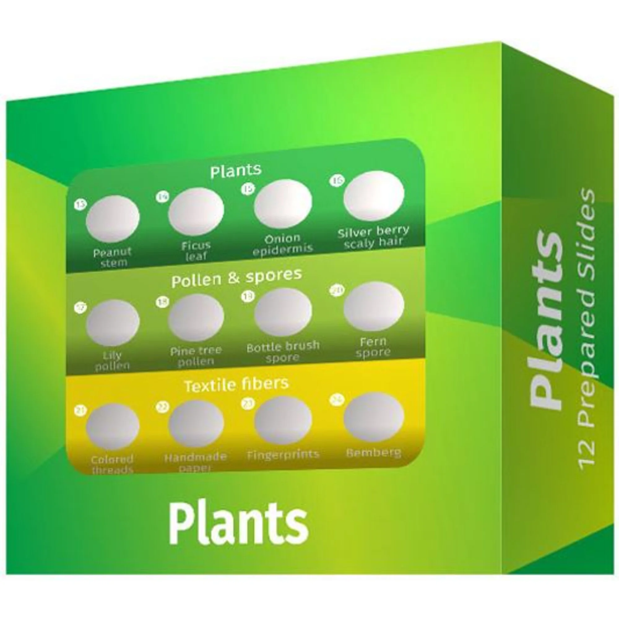 Kit de préparations permanentes P12