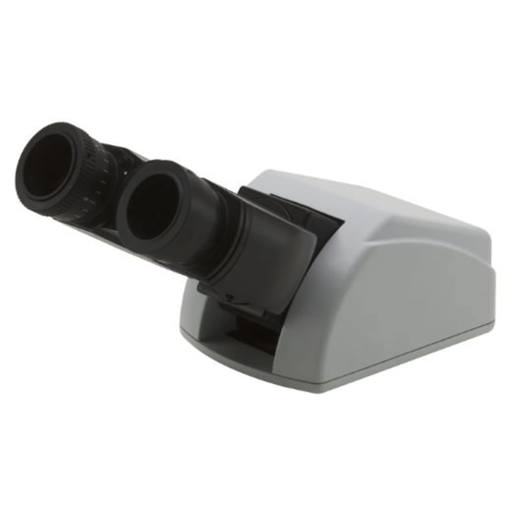 M-755, microscope binoculaire tête ergonomique pour XDS-2