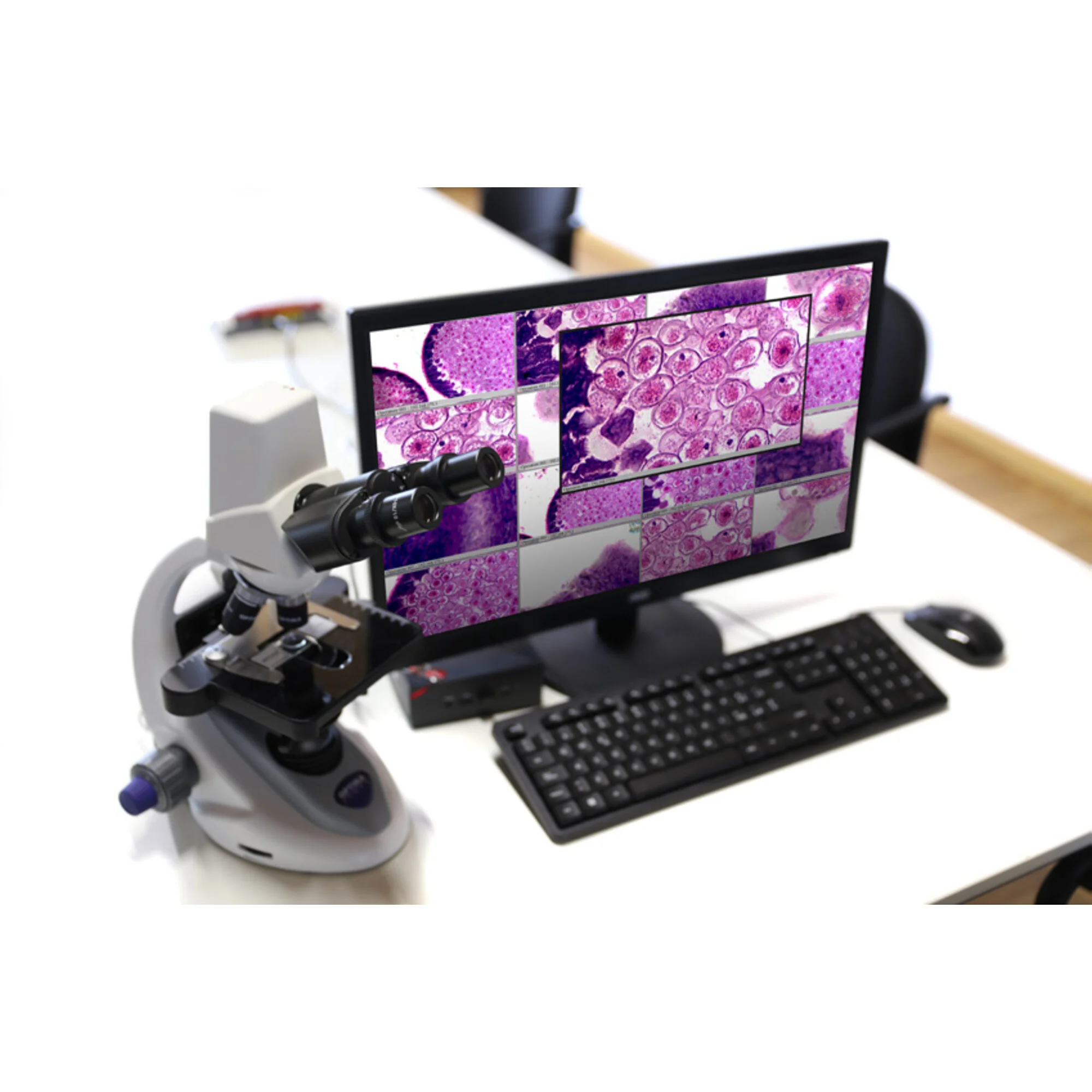 Microscope  Station enseignant OWL (-WI-LEARN) - B-290