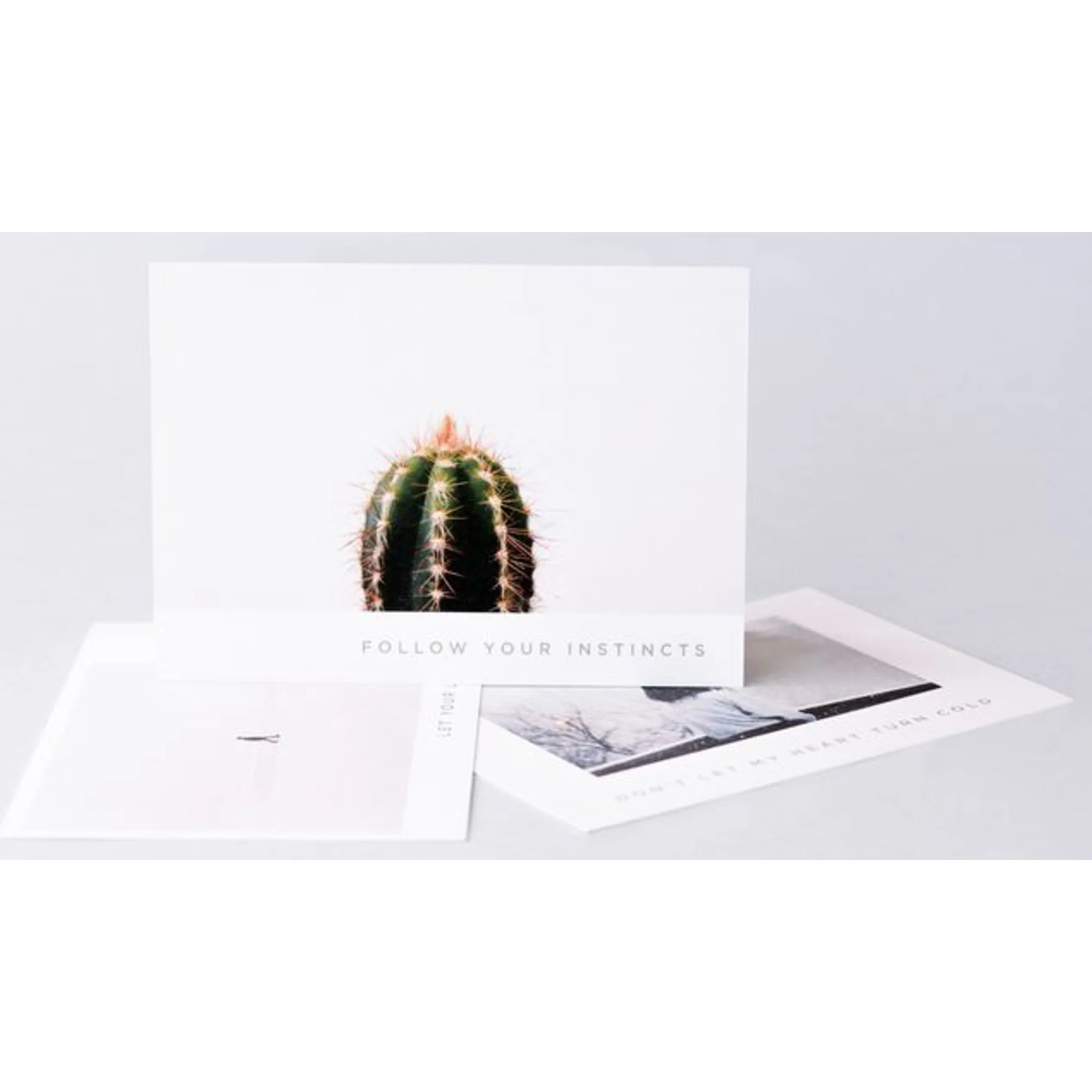 Woody Postcards 10 pieces